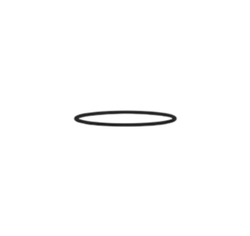 O Ring - Top Sub
